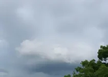 Previsão do Tempo em Parnaíba