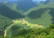 ICMBio - PI processo seletivo agentes temporários ambientais