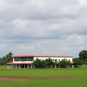 TCE Piauí