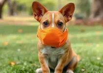 Campanha Abril Laranja