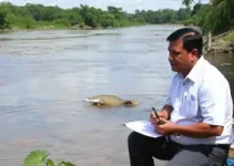 revitalização da Bacia do Parnaíba