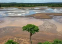 Bacia do Rio Parnaíba