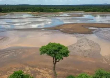 Últimas noticias de Parnaíba