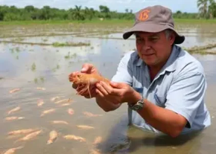 Últimas noticias de Parnaíba
