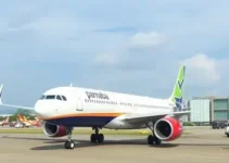 retomada de voos
