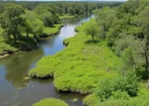 restauração ecológica
