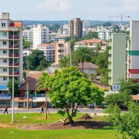 mais de 90 árvores retiradas em Parnaíba