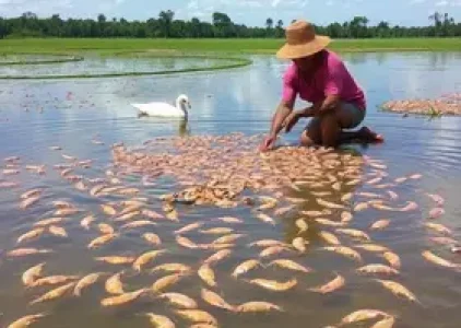 Últimas noticias de Parnaíba