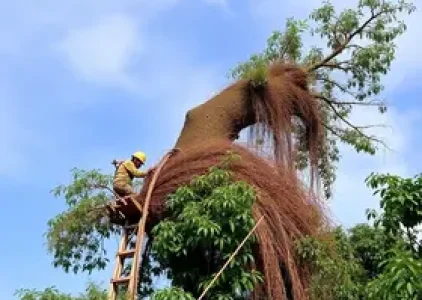 Últimas noticias de Parnaíba