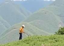 vagas de emprego no Piauí