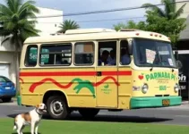 busão da castração