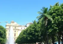 Parnaíba em Ação