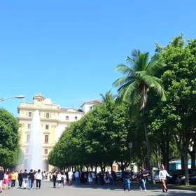 Parnaíba em Ação