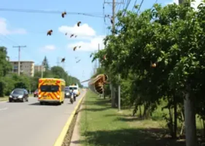 Últimas noticias de Parnaíba