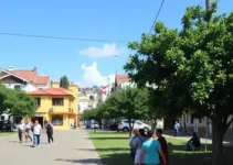 Parnaíba em Ação