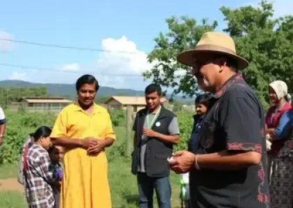 Últimas noticias de Parnaíba