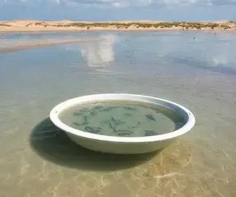 Delta do Parnaíba