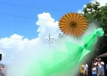 Dia do Piauí