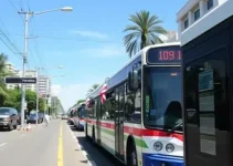 transporte coletivo gratuito
