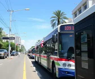 transporte coletivo gratuito