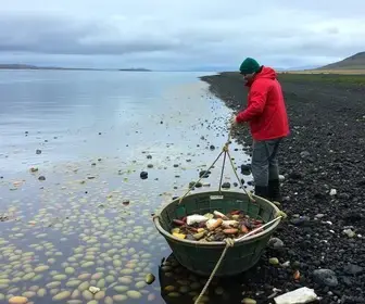 pesca fantasma no Delta do Parnaíba